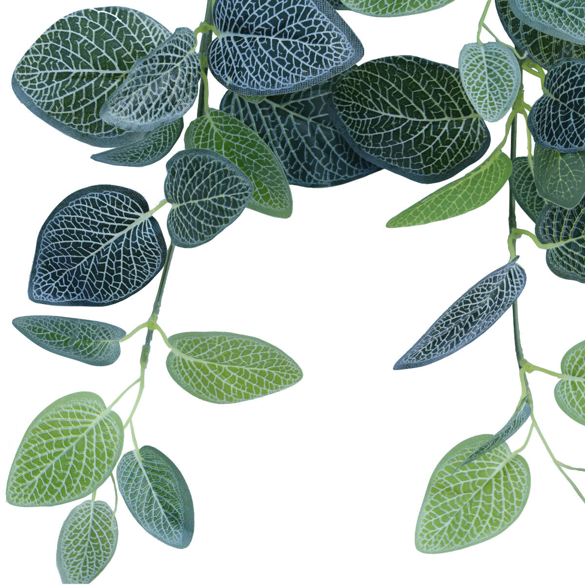 Artificial Fittonia Hanging Garland Bush 80cm Price