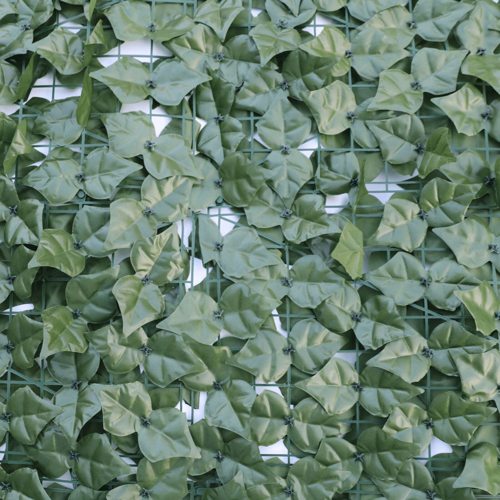 Double Sided Ivy Rolls 3m x 1m Price