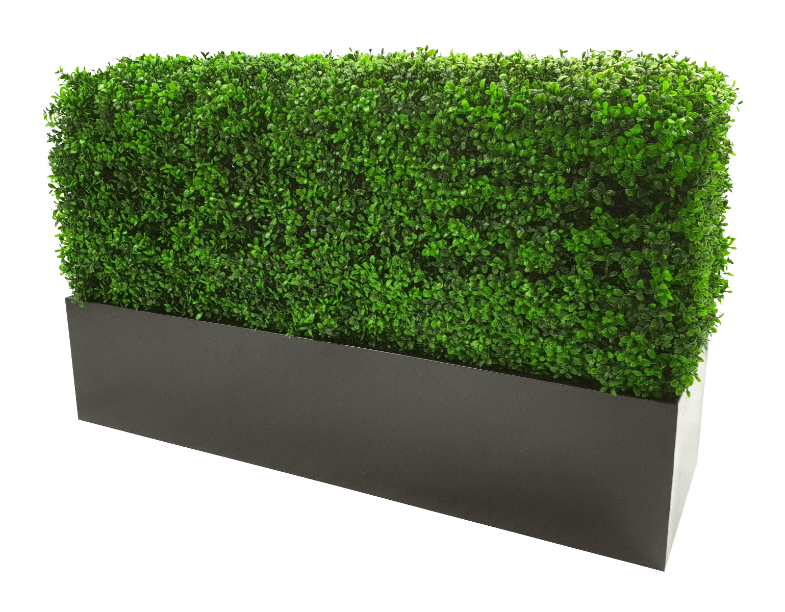 Black Metal Planter Medium Price