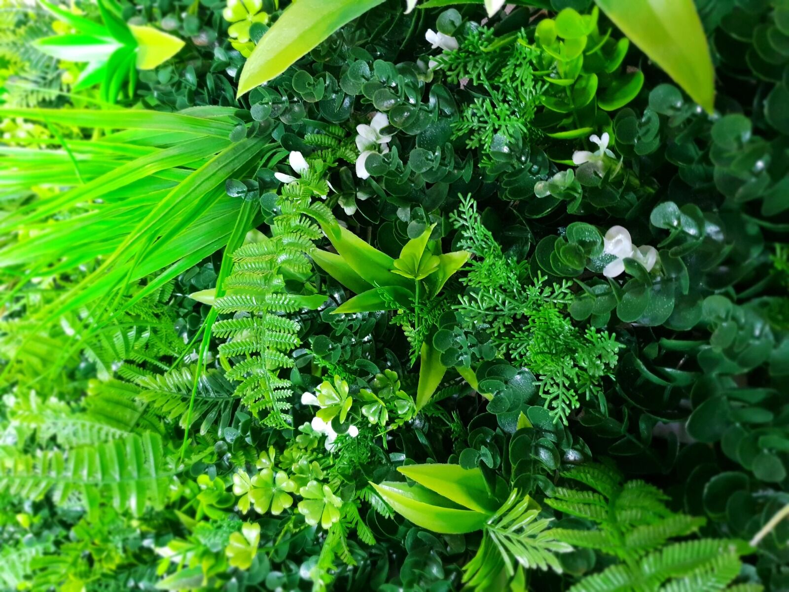 WILD TROPICS UV STABILISED 1m x 1m Price