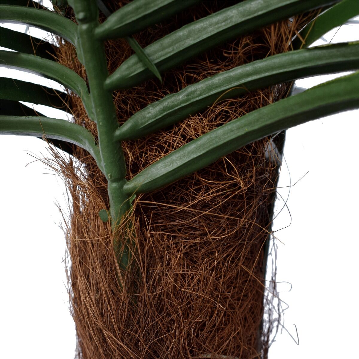 Tropical Palm Tree 170cm UV Resistant Price