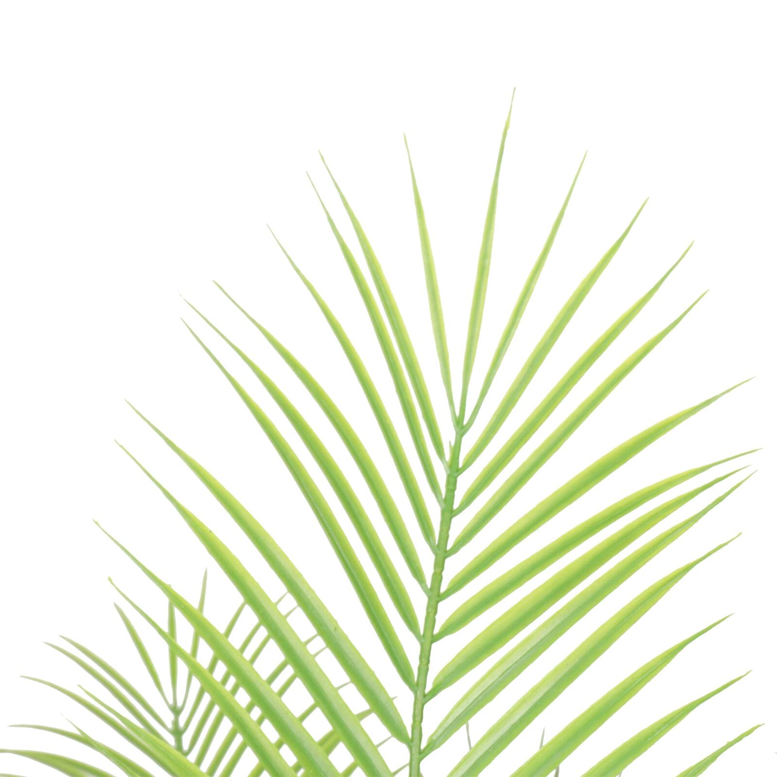 Artificial Modern Bushy Areca Fern Tree 120cm Price