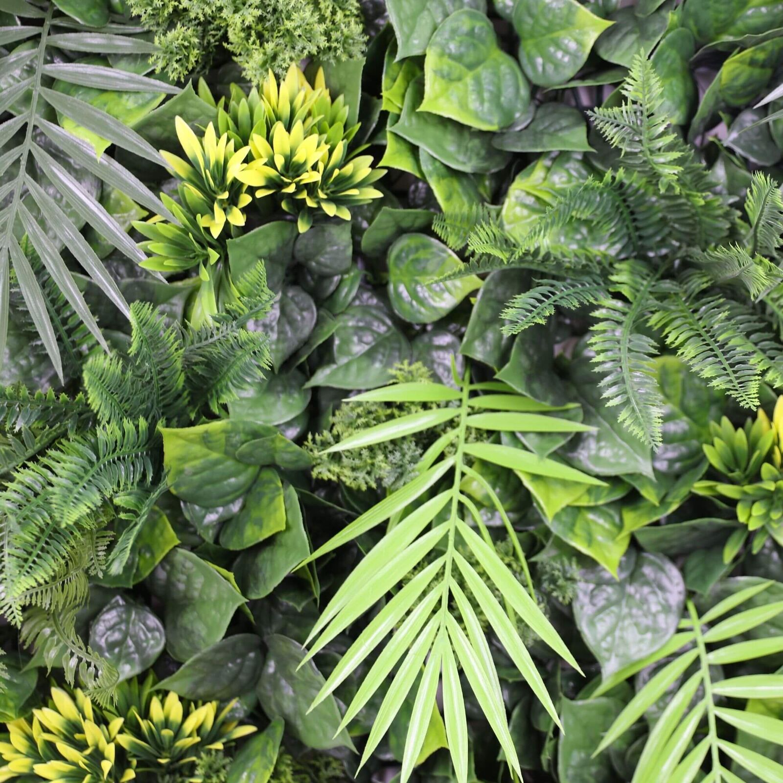 Luxury Hawaiian Sunrise Vertical Garden/Green Wall UV Resistant 1m X 1m Price