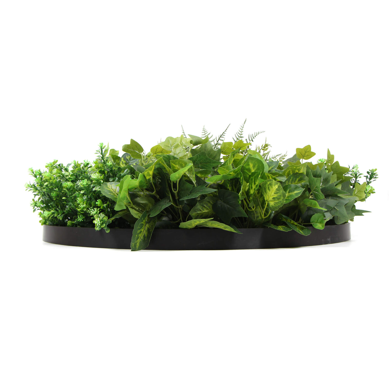 Slimline Artificial Green Wall Disc Art 80cm Mixed Green Fern & Ivy (Modern Black) Price