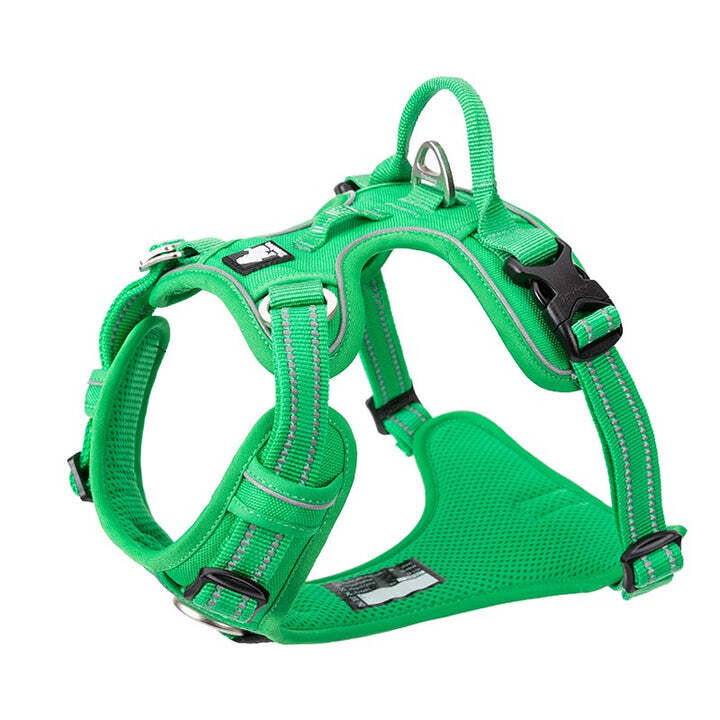 No Pull Explosion Proof Dog Harness - Green, XS Price