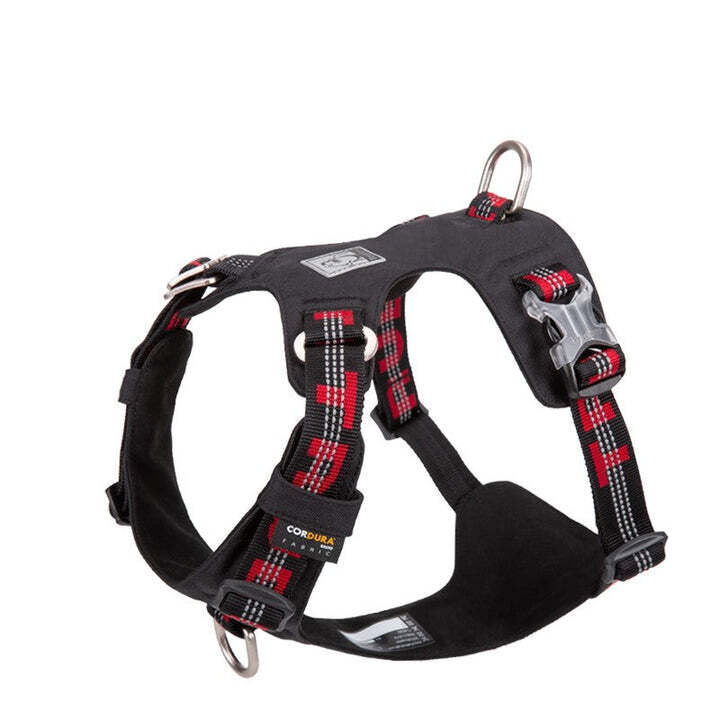 Lightweight Reflective Harness - Black, XS Price
