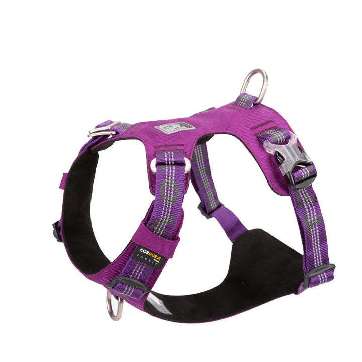 Lightweight Reflective Harness - Purple, 2XS Price