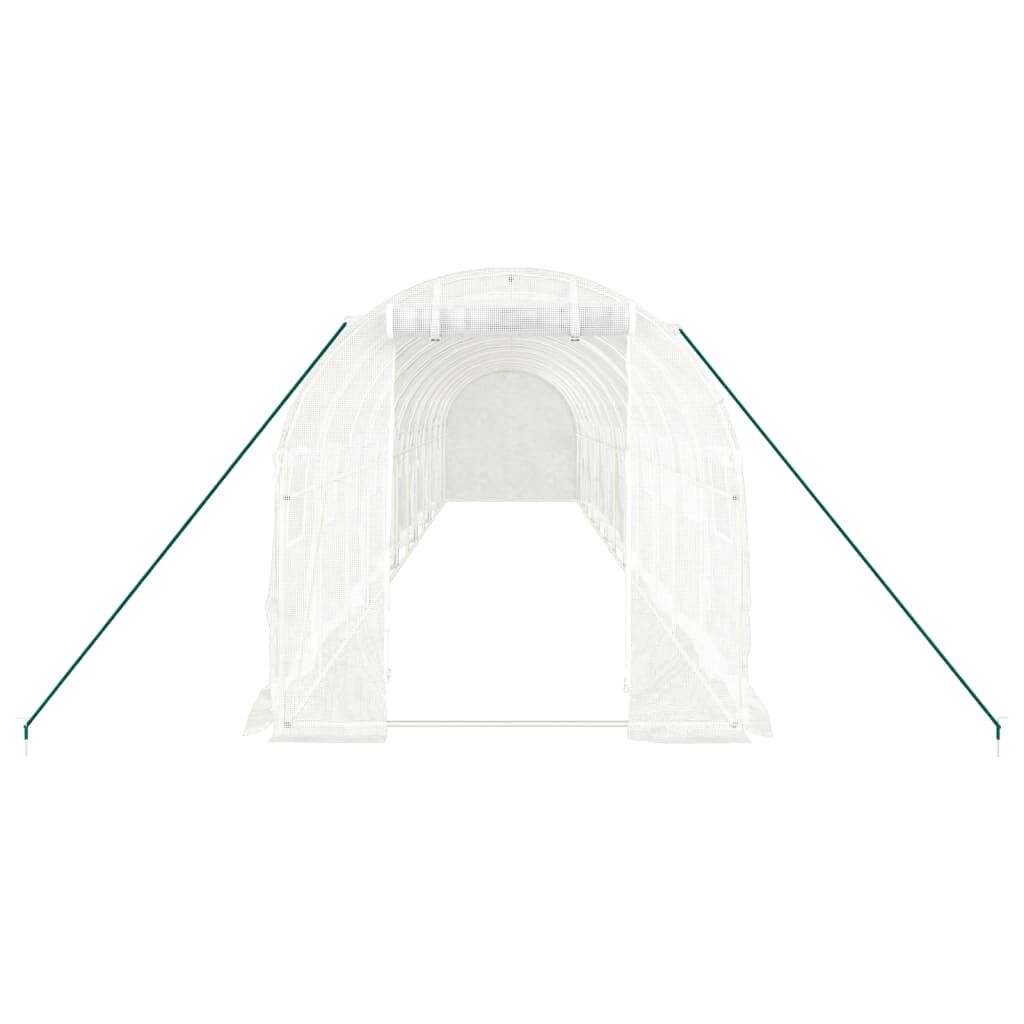 Greenhouse with Steel Frame White 24 m² 12x2x2 m Price