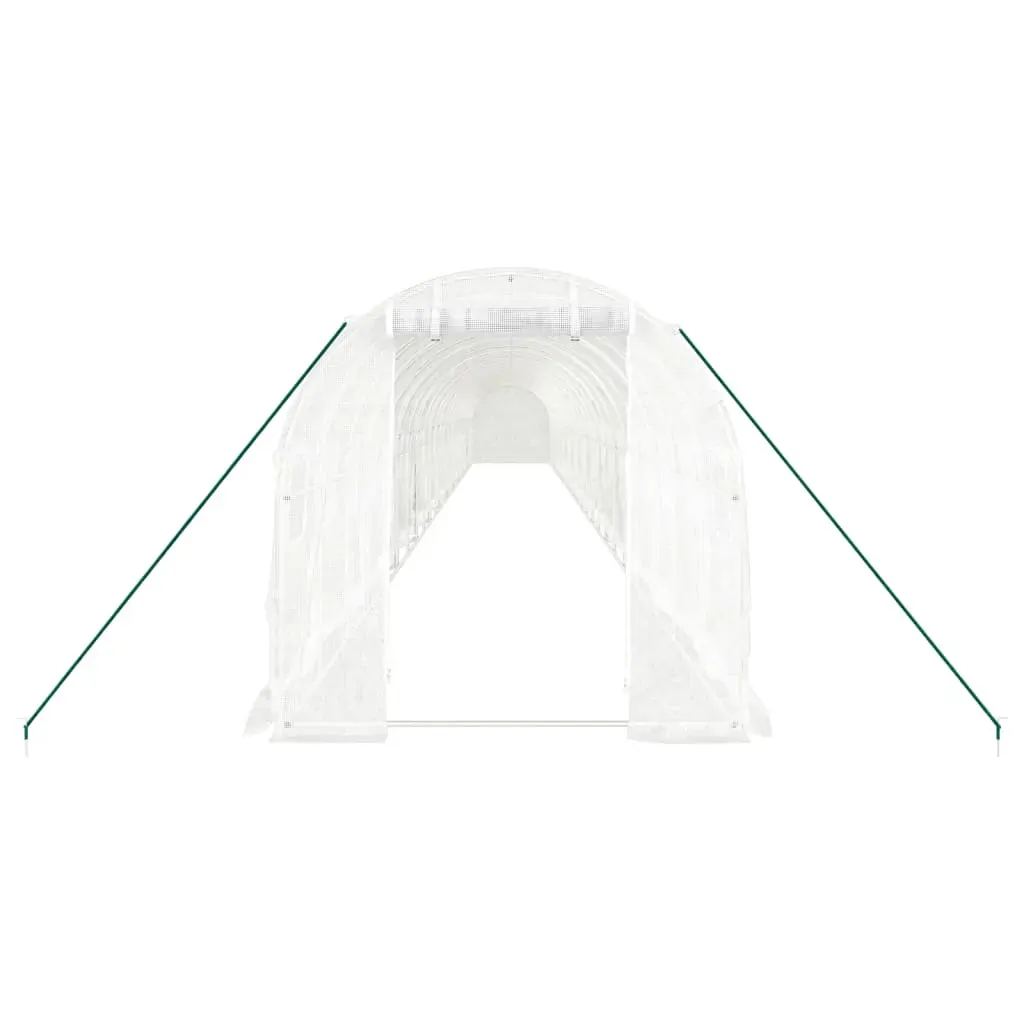 Greenhouse with Steel Frame White 48m² 24x2x2 m Price