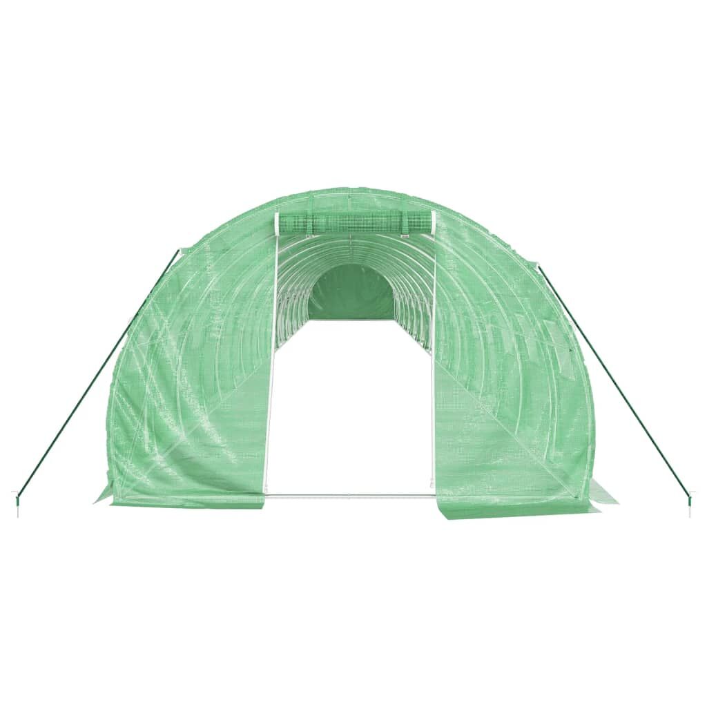 Greenhouse with Steel Frame Green 66 m² 22x3x2 m Price