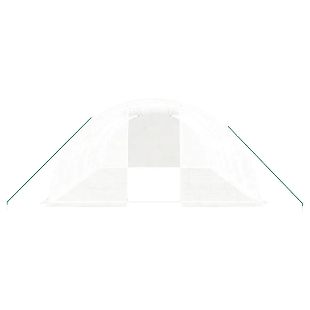 Greenhouse with Steel Frame White 24 m² 6x4x2 m Price