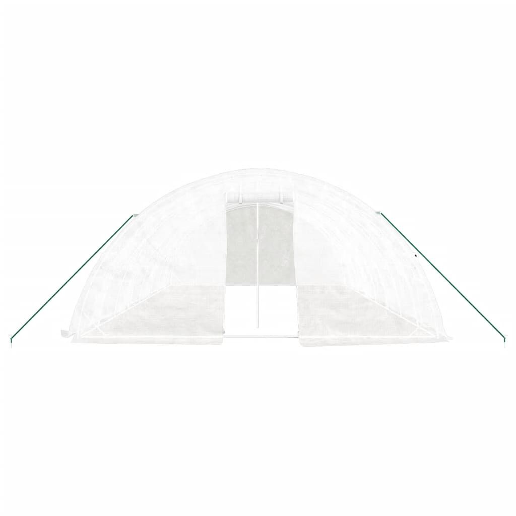 Greenhouse with Steel Frame White 40 m² 8x5x2.3 m Price