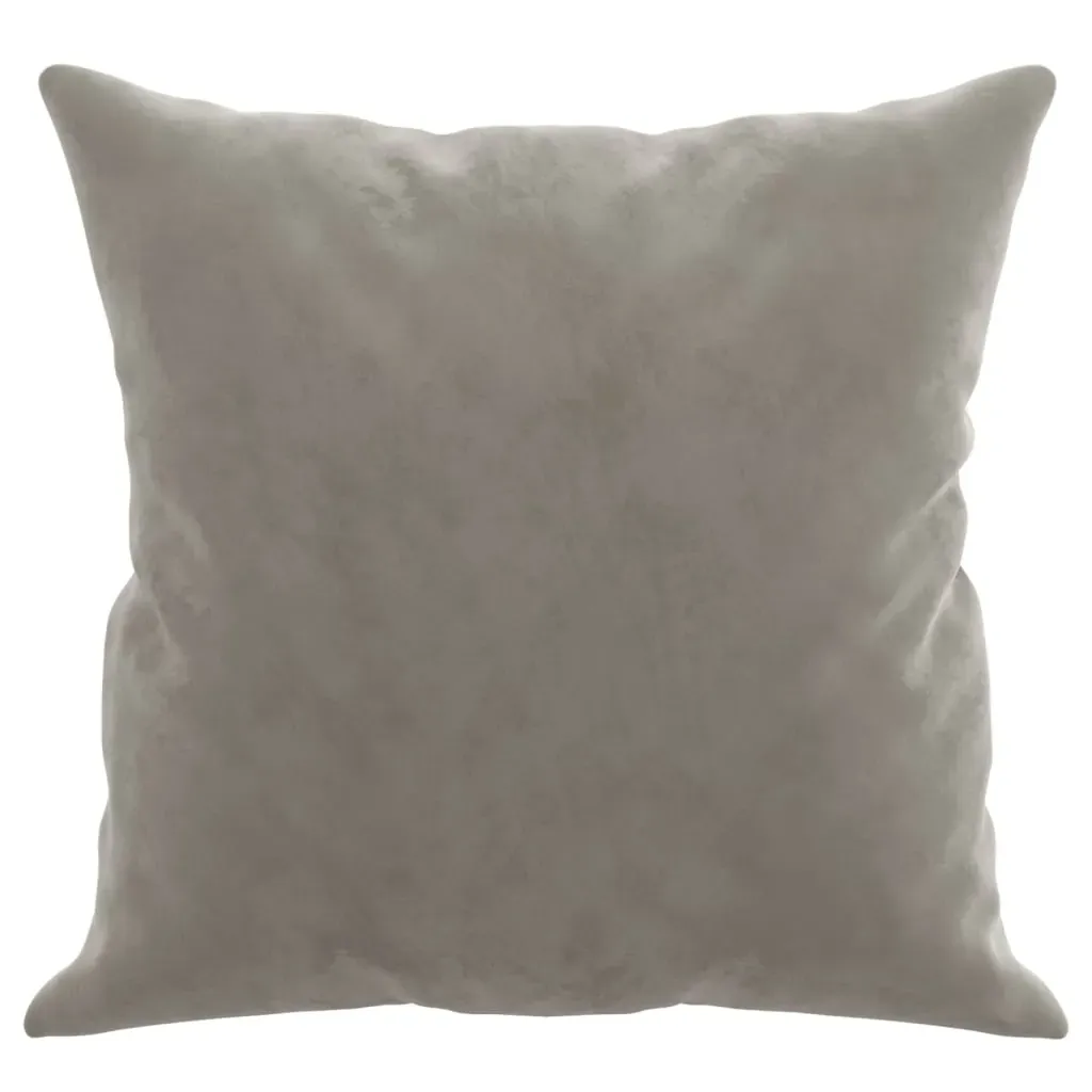 Throw Pillows 2 pcs Light Grey 40x40 cm Velvet Price