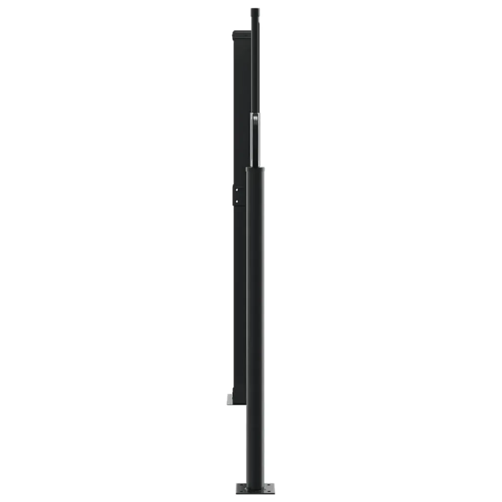 Retractable Side Awning Black 100x1000 cm Price