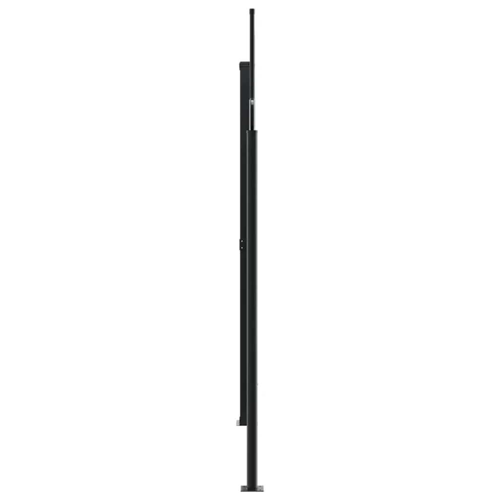 Retractable Side Awning Black 220x1000 cm Price