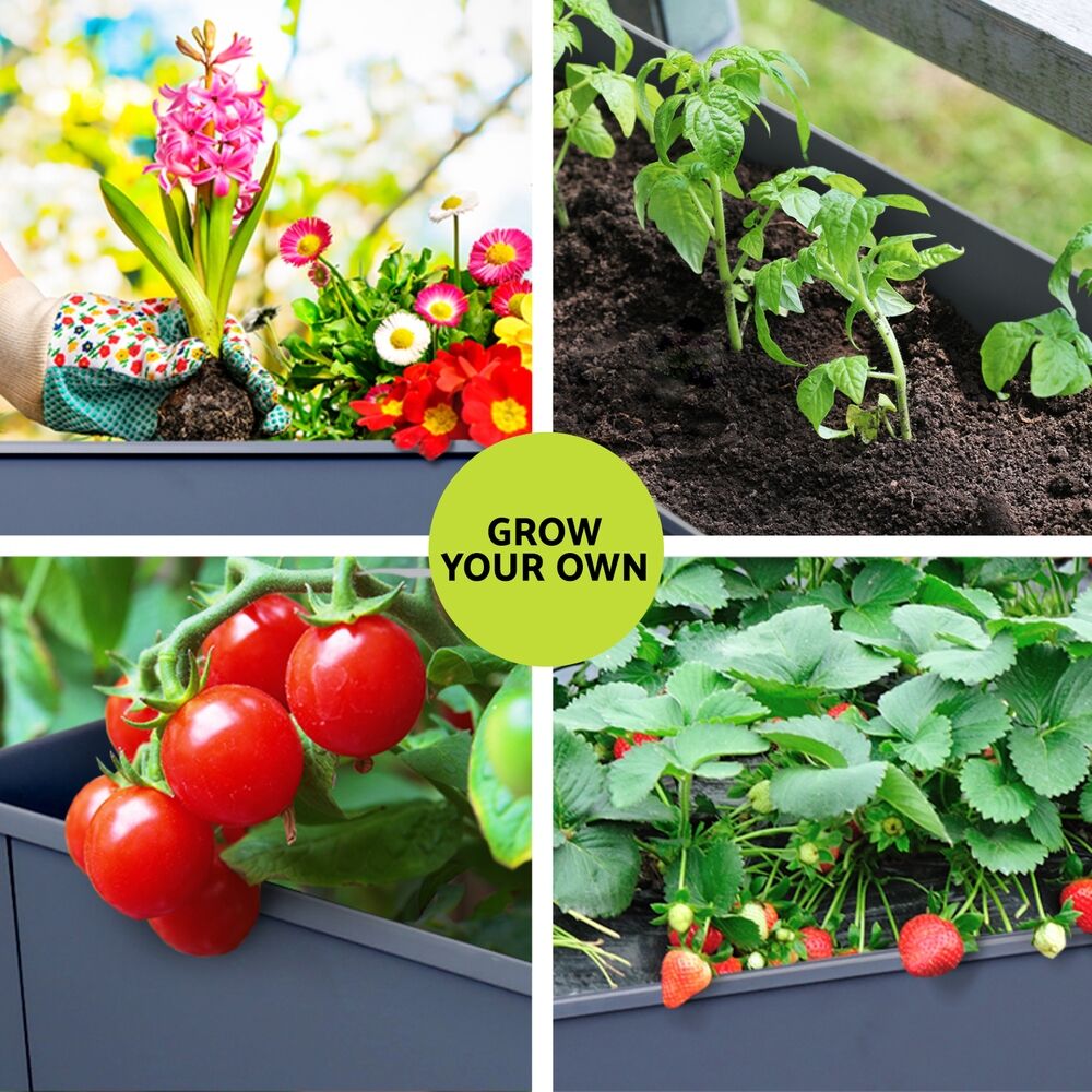 Green Fingers Garden Bed Elevated 100X40X80cm Planter Box Raised Container Herb Price
