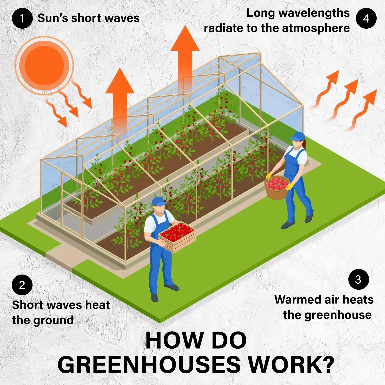 Home Ready Dome Tunnel Hoop Polytunnel Greenhouse Walk-In Shed PE Price