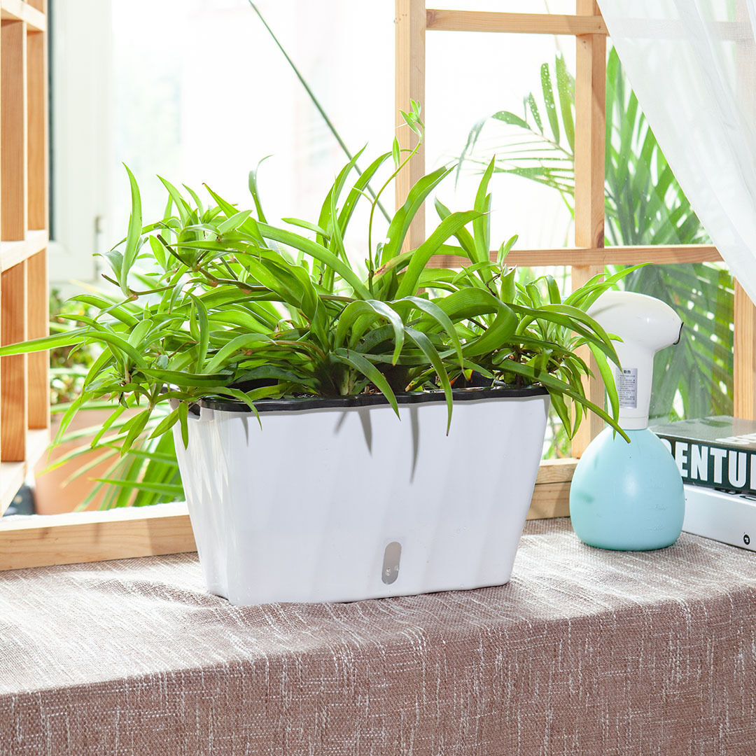 Rectangular Flowerpot Vegetable Herb Flower Outdoor Plastic Box Garden Decor Price