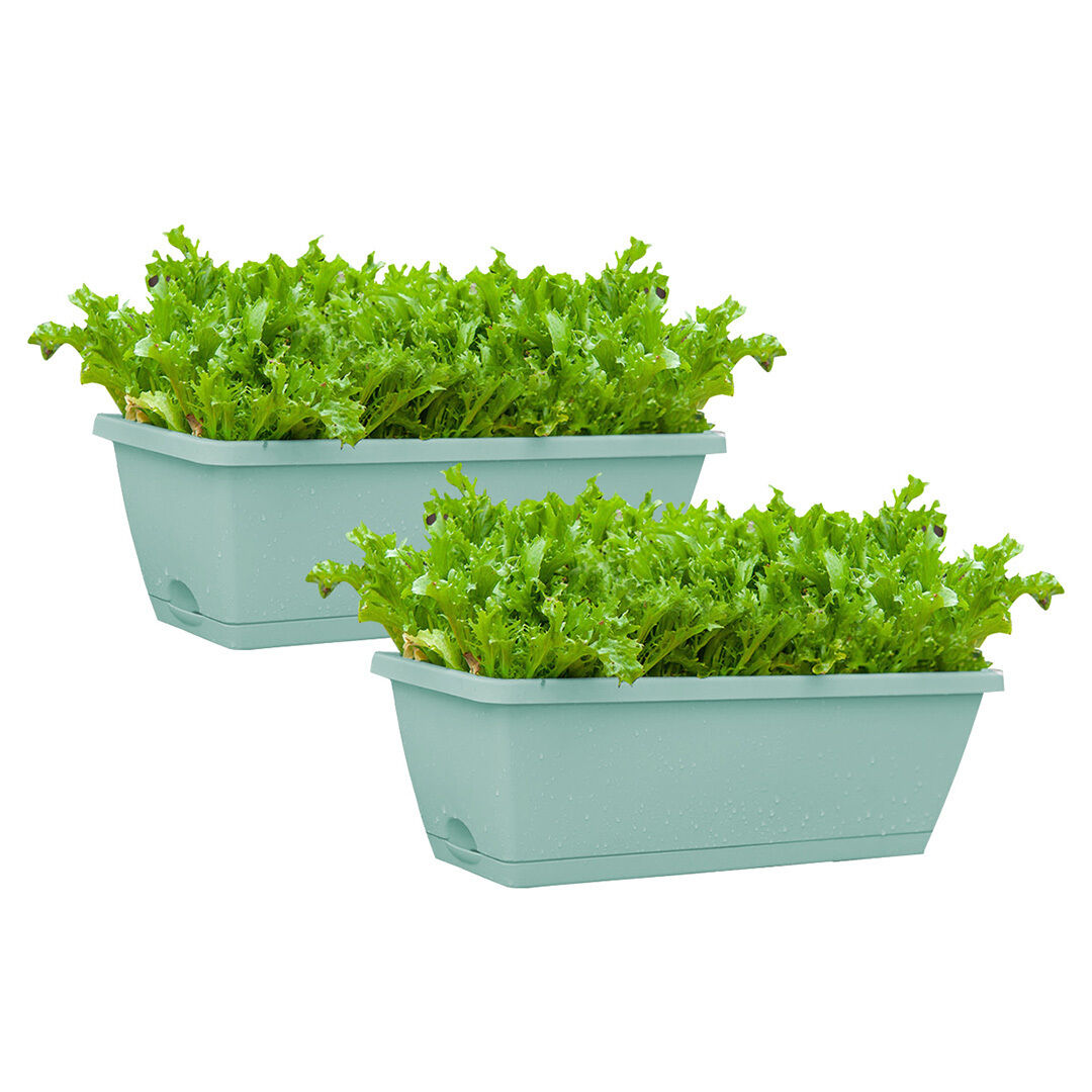49.5cm Rectangular Planter Vegetable Herb Flower Outdoor Plastic Box with Holder Balcony Garden Décor Price