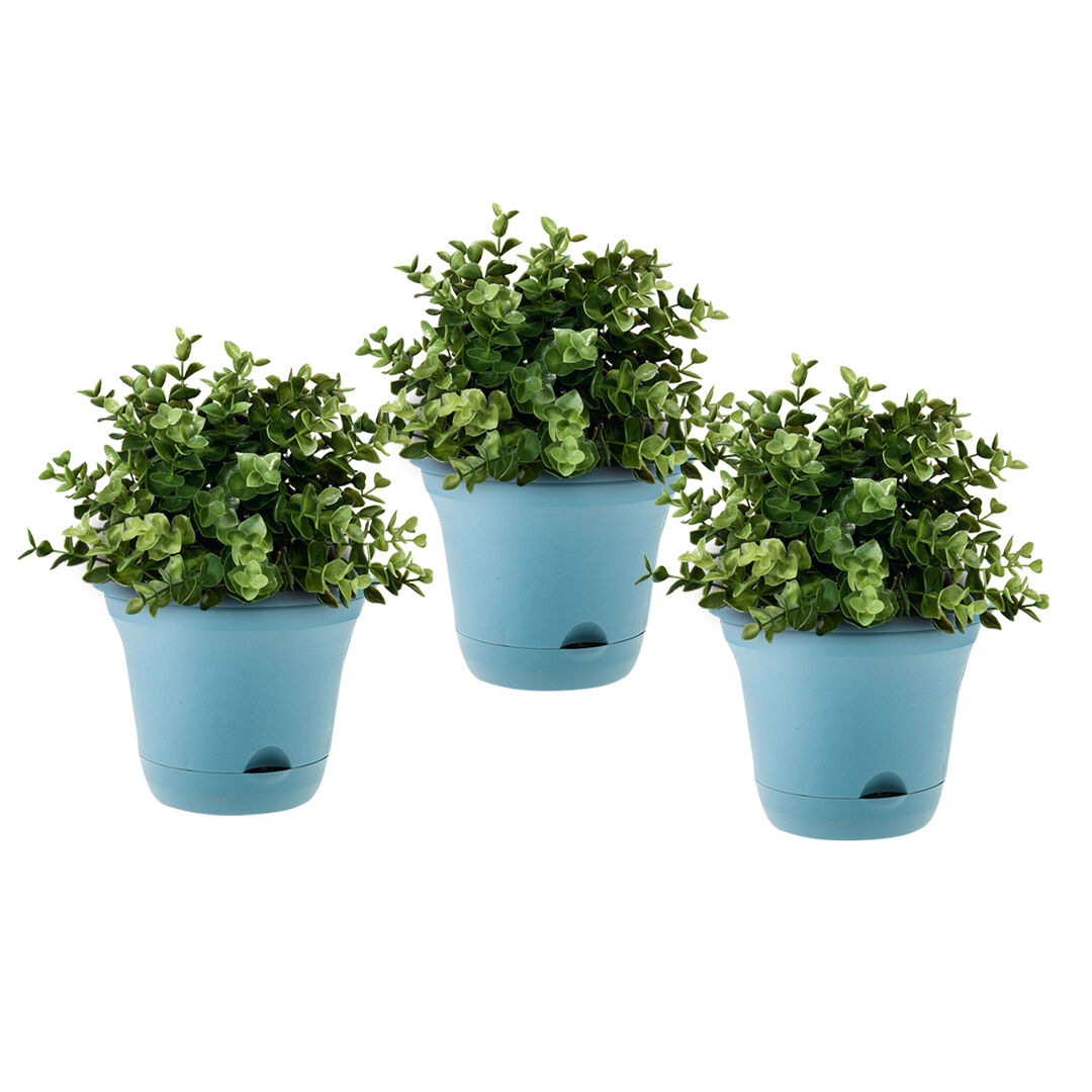 20cm Plastic Plant Pot Self Watering Planter Flower Bonsai Indoor Outdoor Garden Decor Price