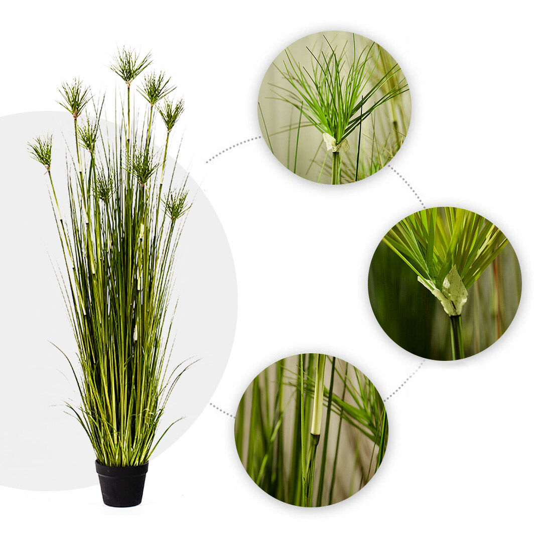 Purple Artificial Indoor Potted Papyrus Plant Tree Fake Simulation Decorative Price