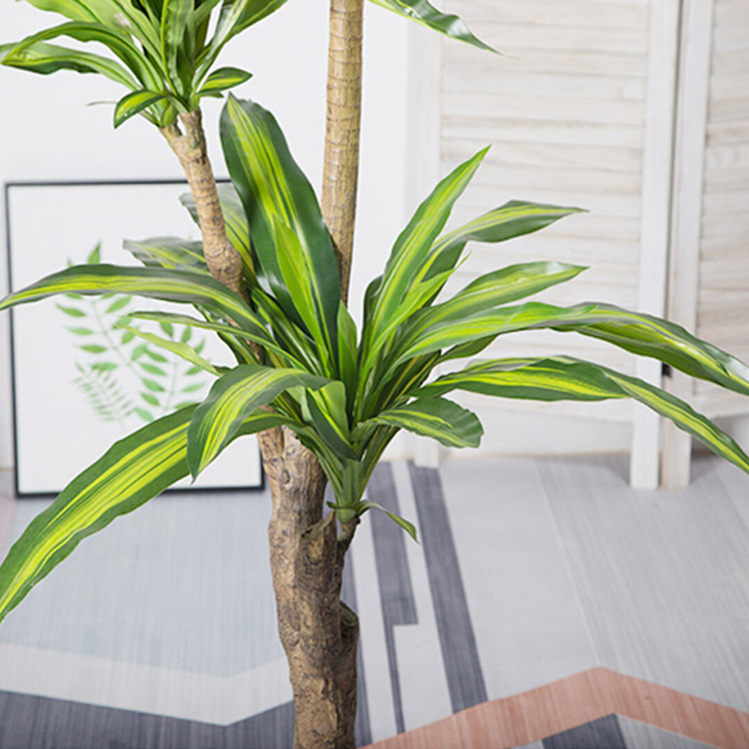 Green Artificial Indoor Brazlian Iron Tree Fake Plant Decorative 3 Heads Price
