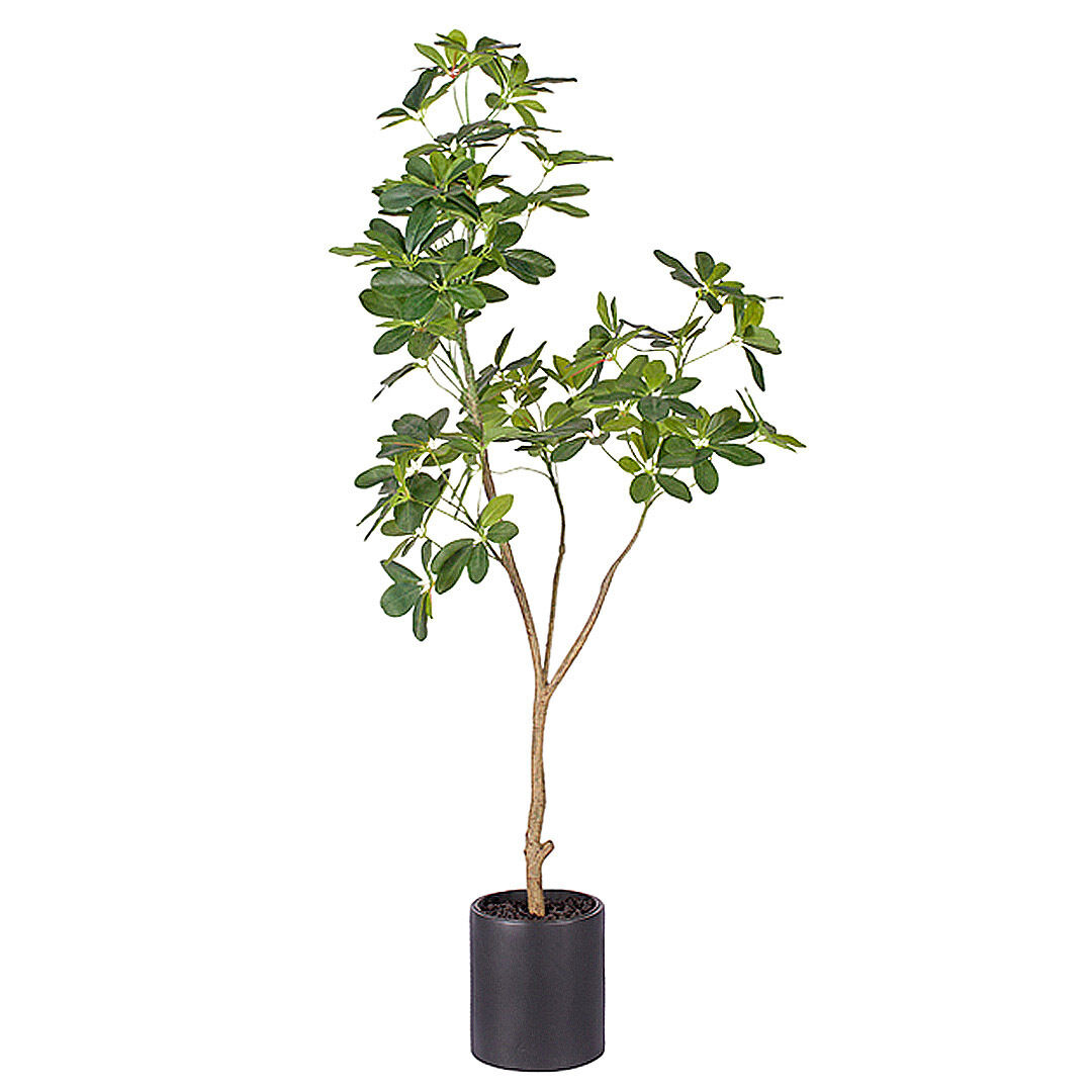 Artificial Natural Green Schefflera Dwarf Umbrella Tree Fake Tropical Indoor Plant Home Office Decor Price