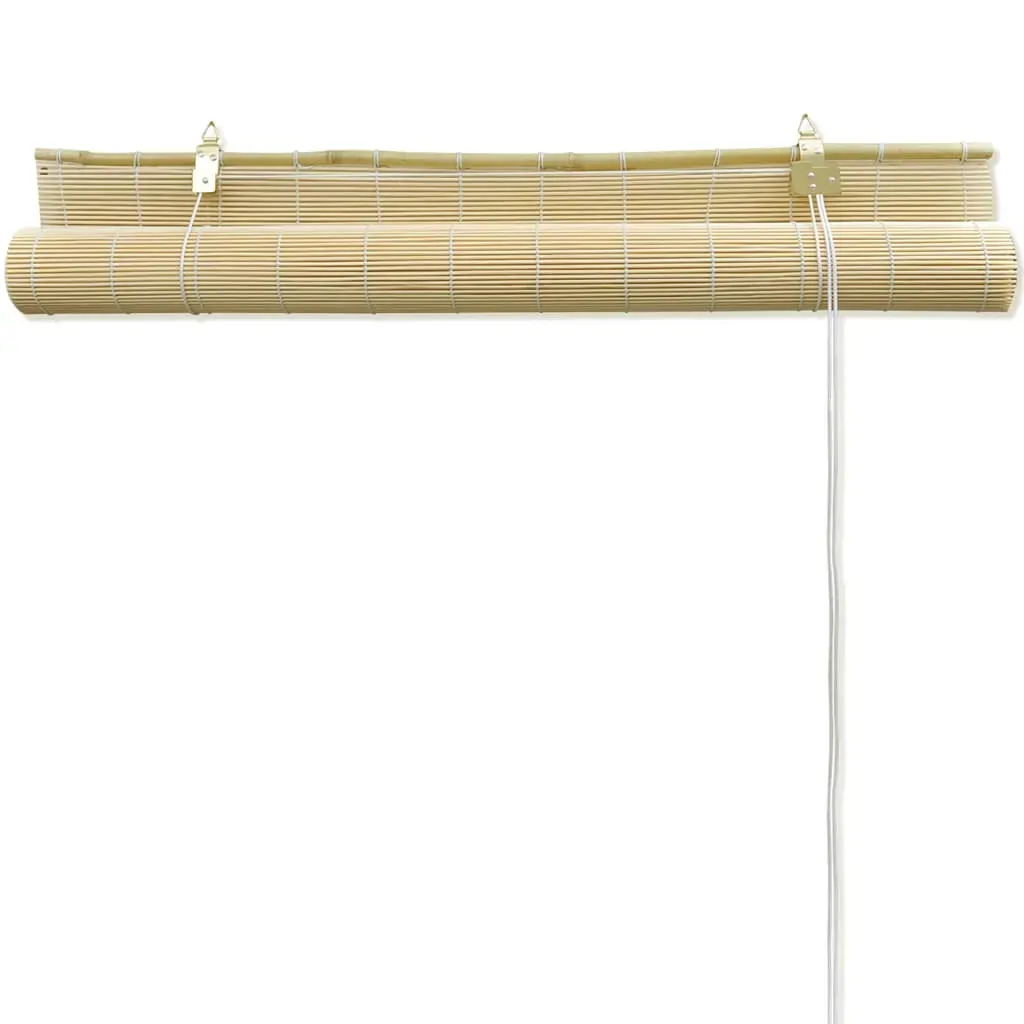 Roller Blind Bamboo Price