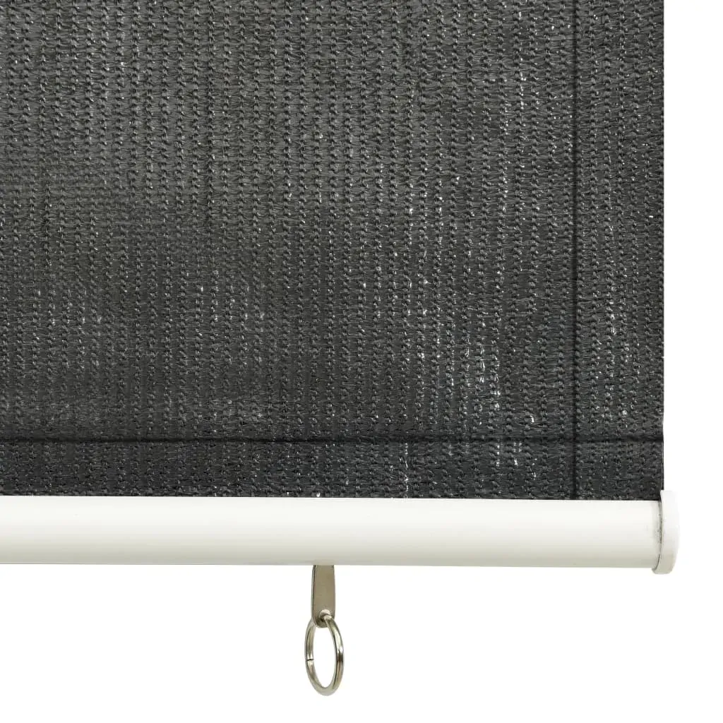 Outdoor Roller Blind Anthracite Price