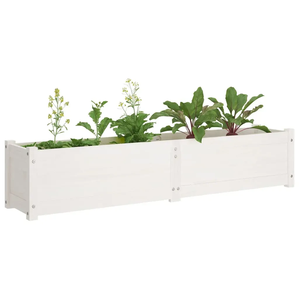 Garden Raised Bed 150x31x31 cm Solid Pinewood Price