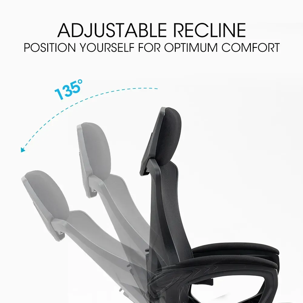 FORTIA Ergonomic Mesh Office Chair Computer Seat with Headrest Adjustable Recline Price