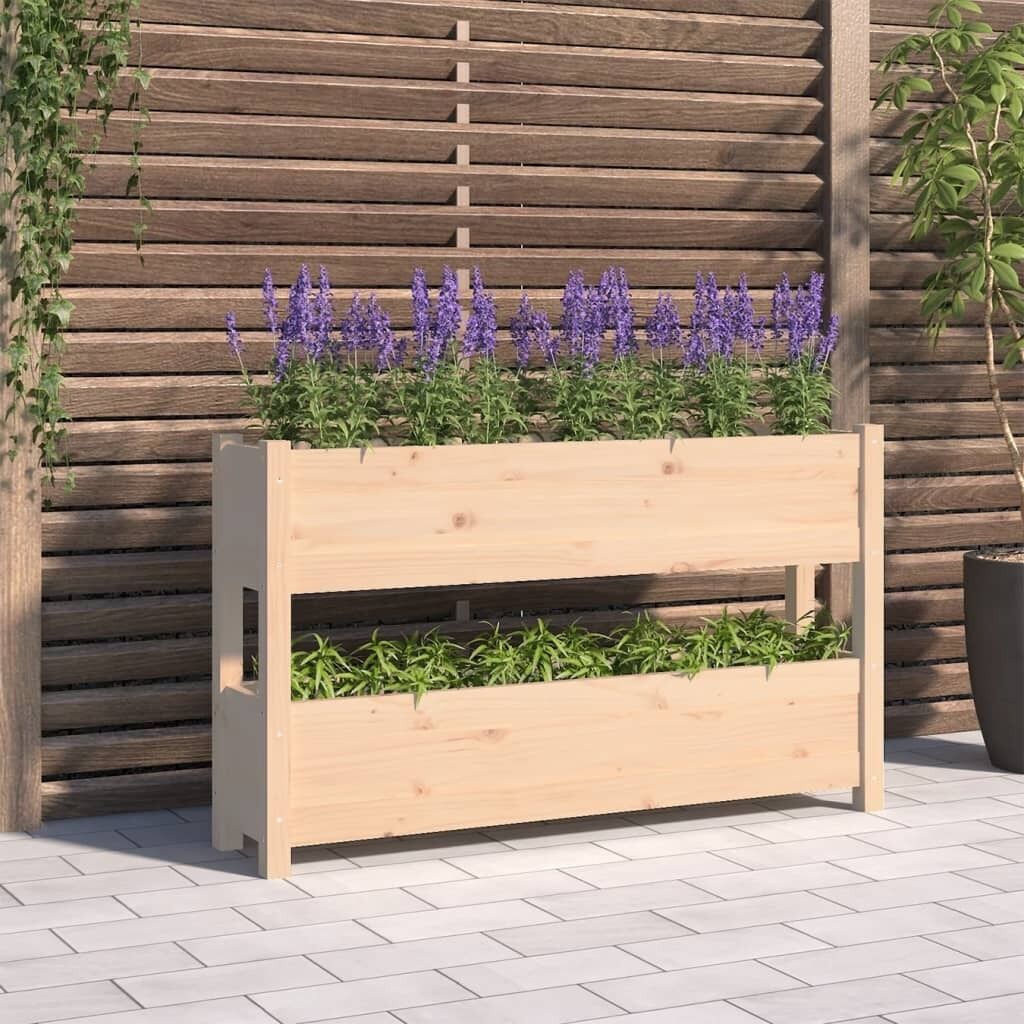 Planter Solid Wood Pine Price