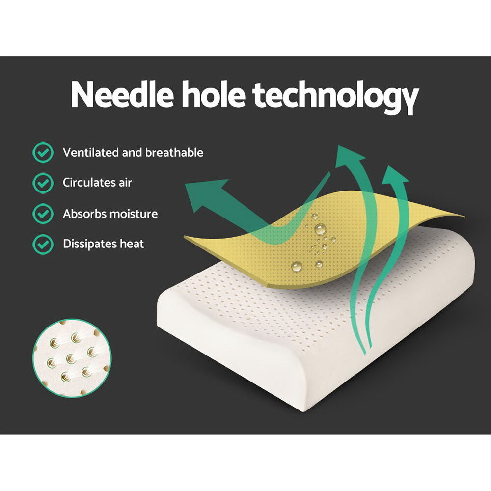 Natural Latex Pillow 2-Zone Twin Pack Price