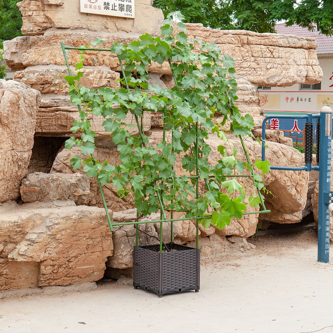 160cm rectangular inclined plant frame tube pergola trellis vegetable flower herbs outdoor vine support garden rack Price