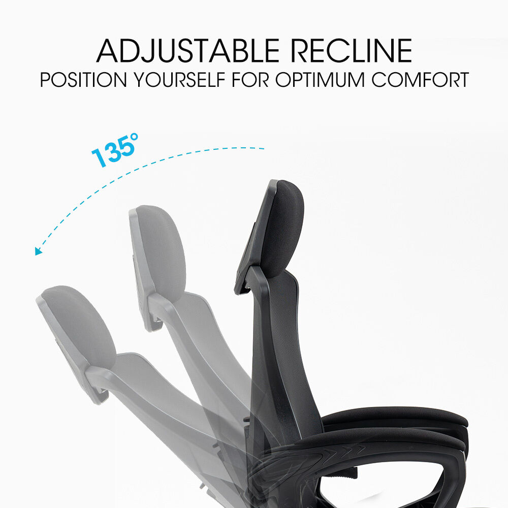 FORTIA Ergonomic Office Desk Chair, Height Adjustable Lumbar Support, Mesh Fabric, Headrest, Black Price