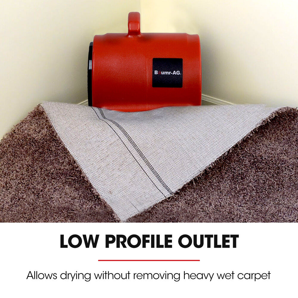 Baumr-AG 3-Speed Carpet Dryer Air Mover Blower Fan, 700CFM, Sealed Copper Motor, Poly Housing Price