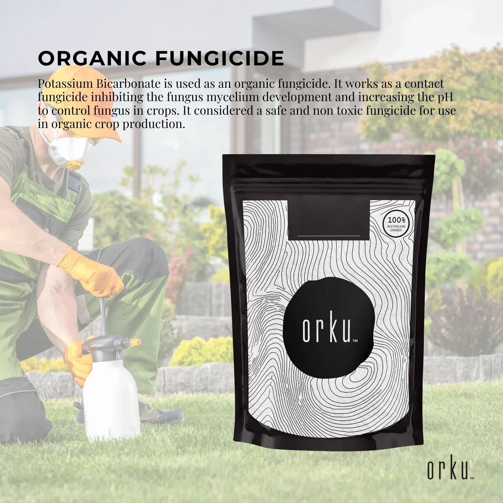 100g Organic Potassium Bicarbonate Powder - Food Grade Pure FCC Brewing Baking Price