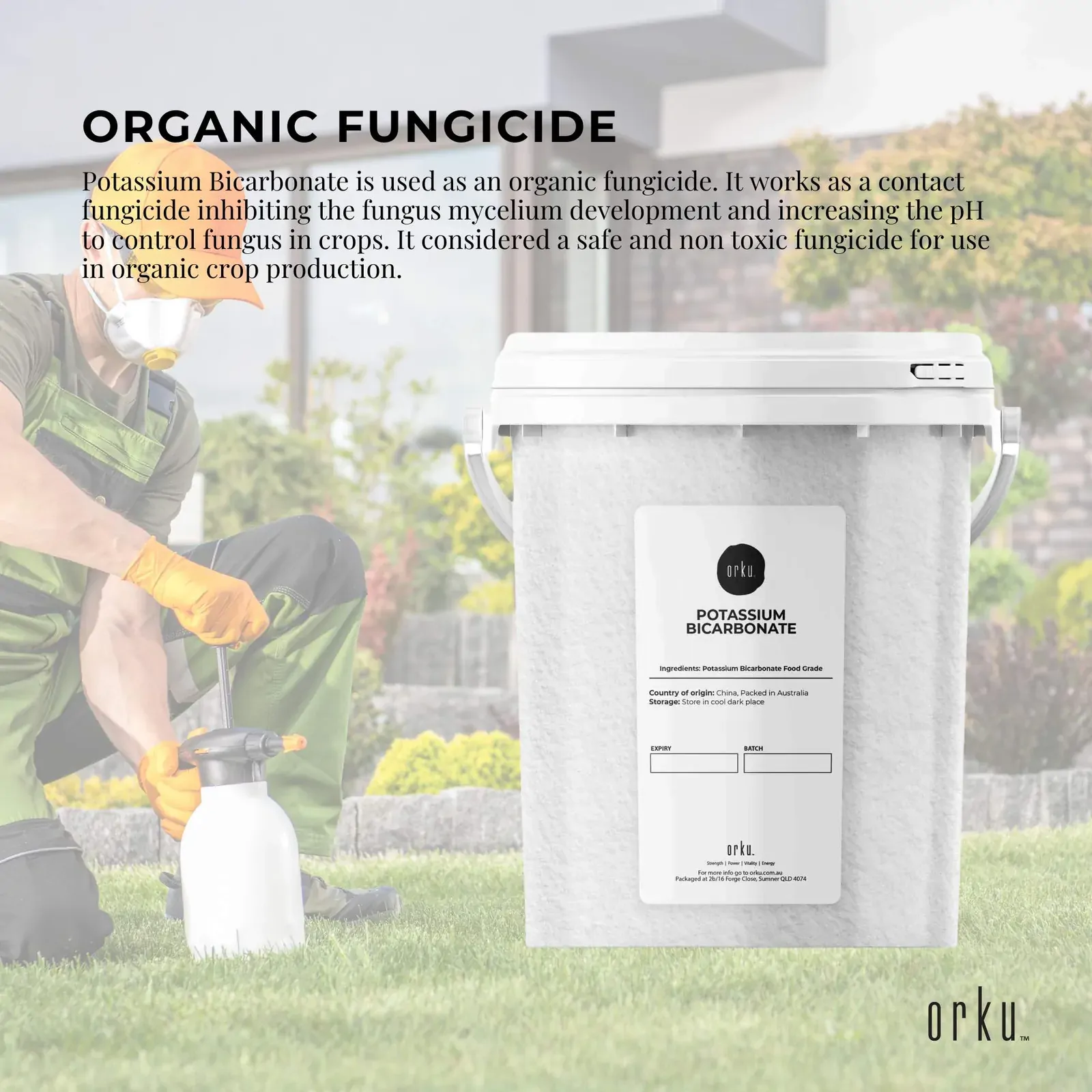 1.3Kg Organic Potassium Bicarbonate Powder Tub Food Grade FCC for Brewing Baking Price