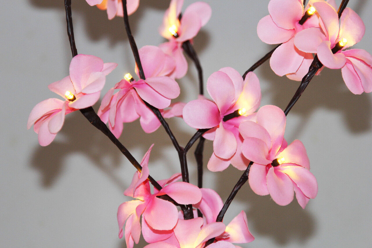 1 Set of 50cm H 20 LED Pink Frangipani Tree Branch Stem Fairy Light Wedding Event Party Function Table Vase Centrepiece Decoration Girl Bedroom Price