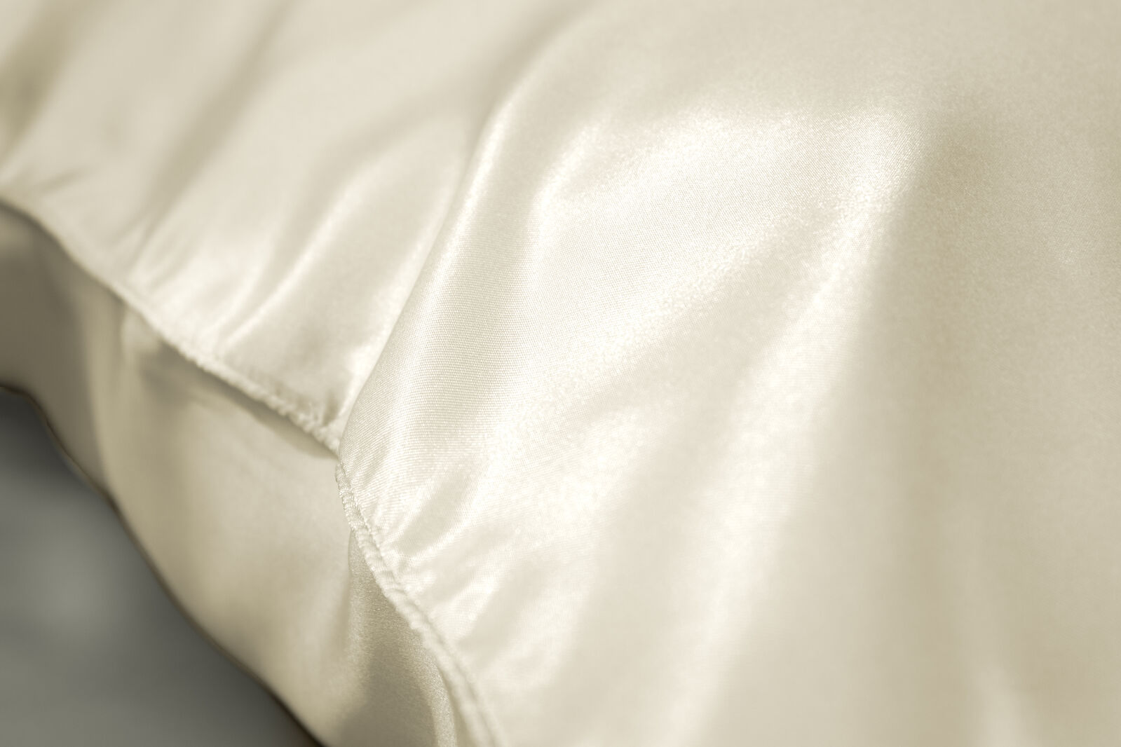 Ivory Dreams SILK PILLOWCASE - 51X76CM Price