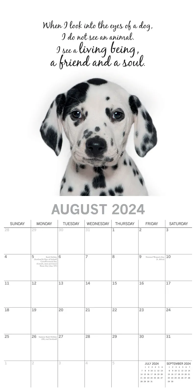 Adorable Dogs - 2024 Square Wall Calendar Pets Animals 16 Months Premium Planner Price