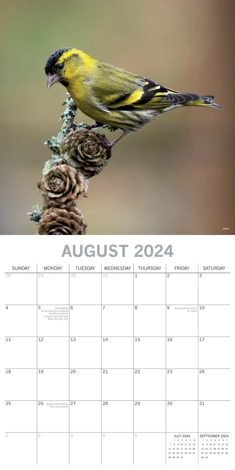 Birds - 2024 Square Wall Calendar Pets Animals 16 Months Premium Planner Gift Price