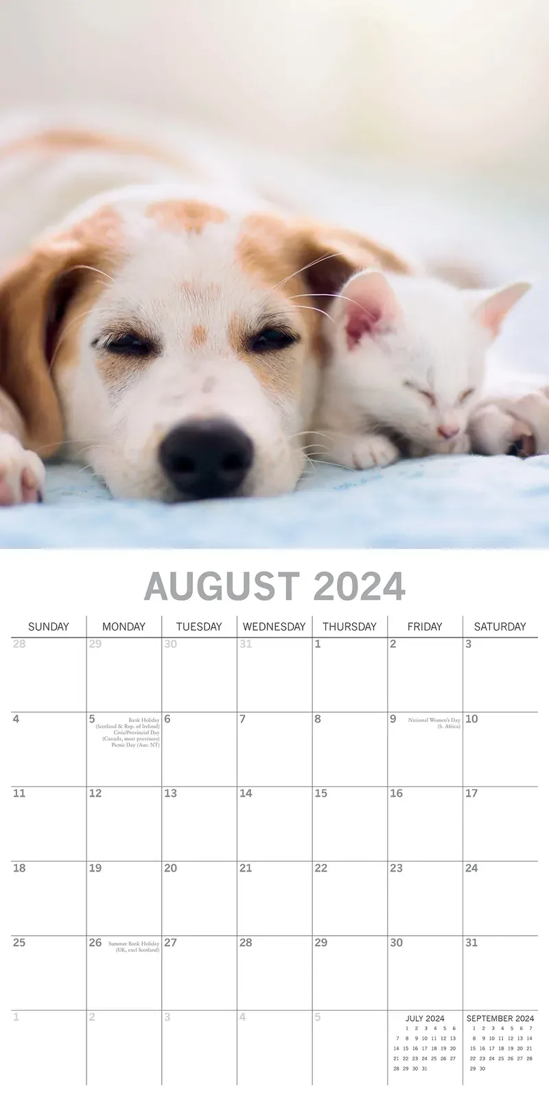 Cats & Dogs - 2024 Square Wall Calendar Pets Animals 16 Months Premium Planner Price