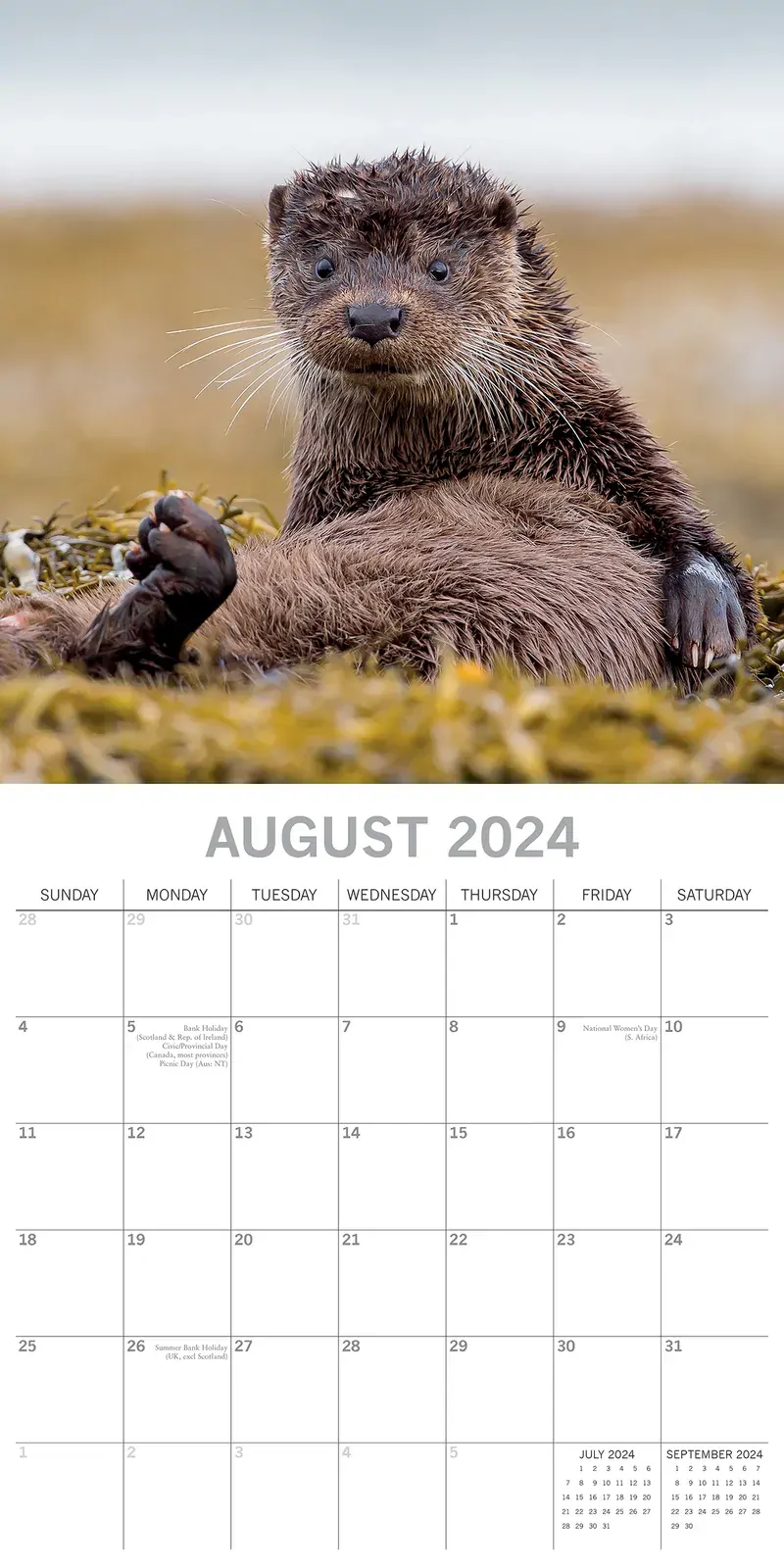 Country Wildlife 2024 Square Wall Calendar Cute Animals 16 Month Premium Planner Price