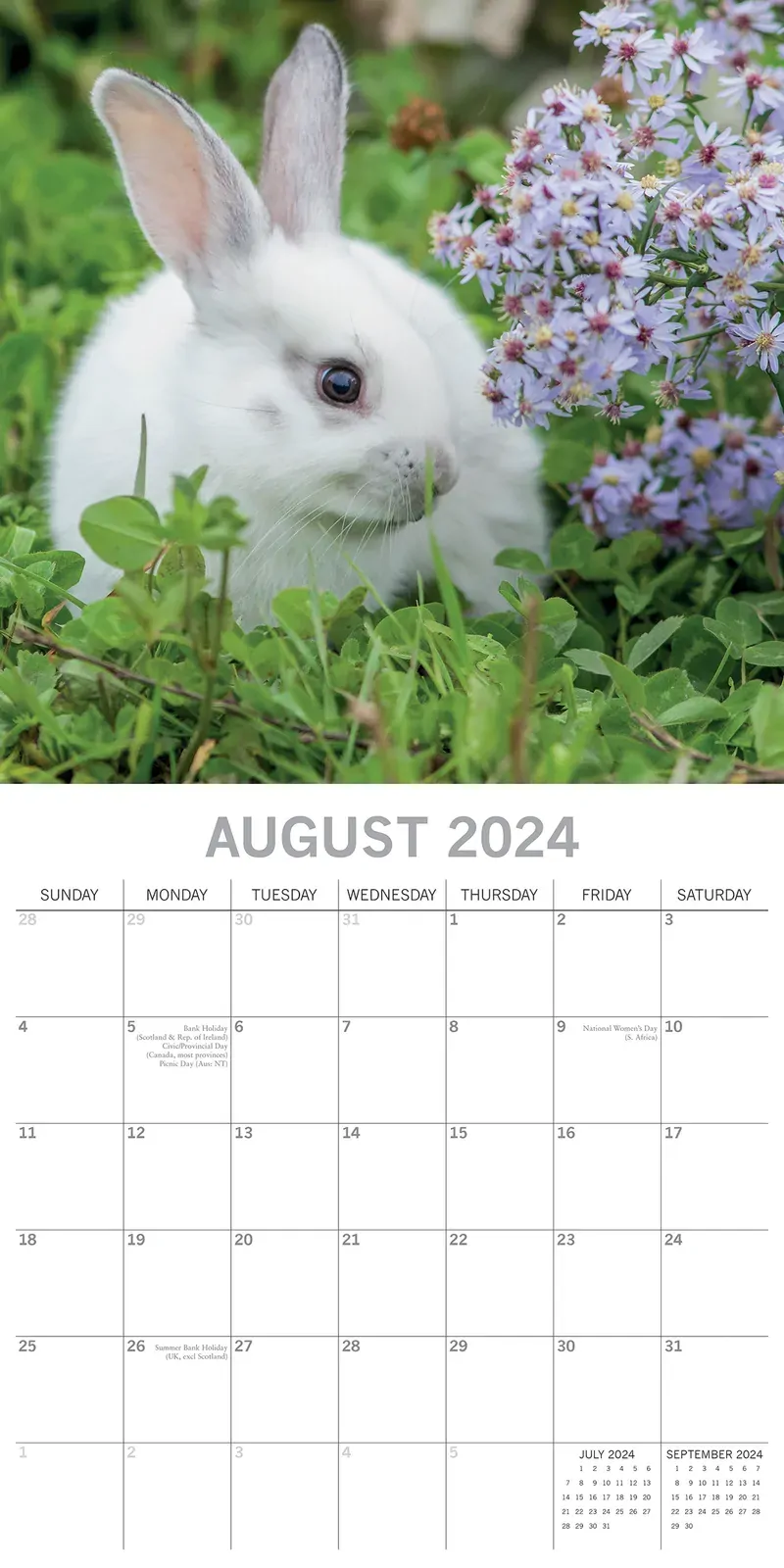 Cute Bunnies - 2024 Square Wall Calendar Pets Animals 16 Months Premium Planner Price