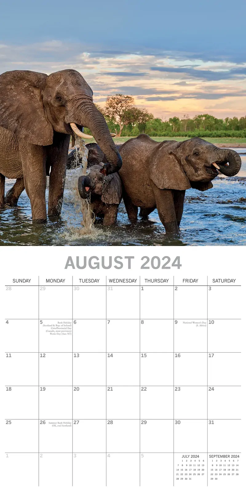 Elephants 2024 Square Wall Calendar Pets Animals 16 Months New Year Planner Gift Price