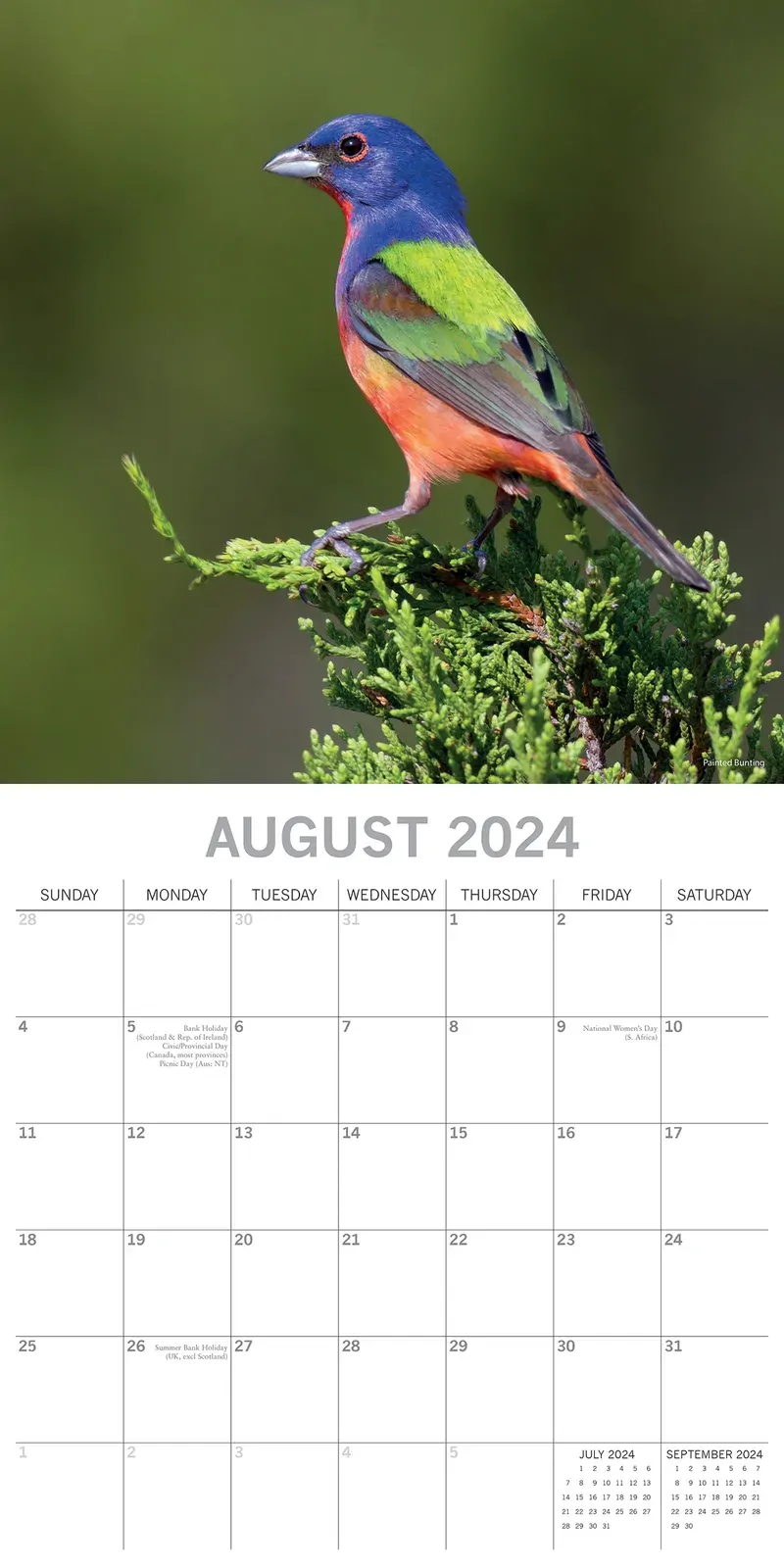 Exotic Birds - 2024 Square Wall Calendar Pets Animals 16 Months Premium Planner Price