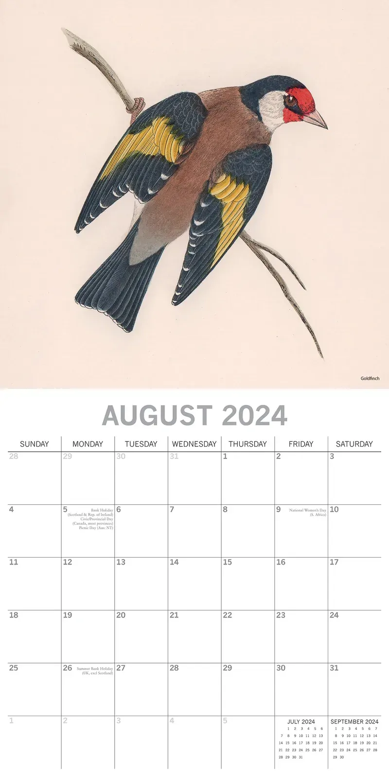 Illustrated Garden Birds - 2024 Square Wall Calendar Pets Animals 16 Months Price