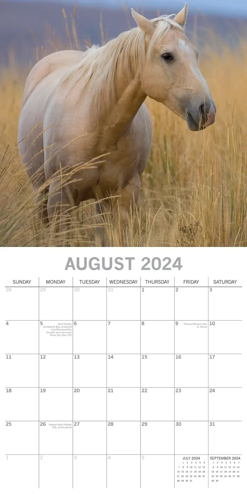 Horses - 2024 Square Wall Calendar Pets Animals 16 Months New Year Planner Gift Price