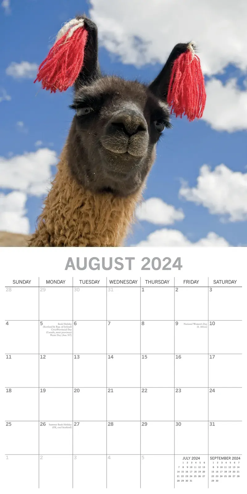 Llamas - 2024 Square Wall Calendar Pets Animals 16 Months New Year Planner Gift Price